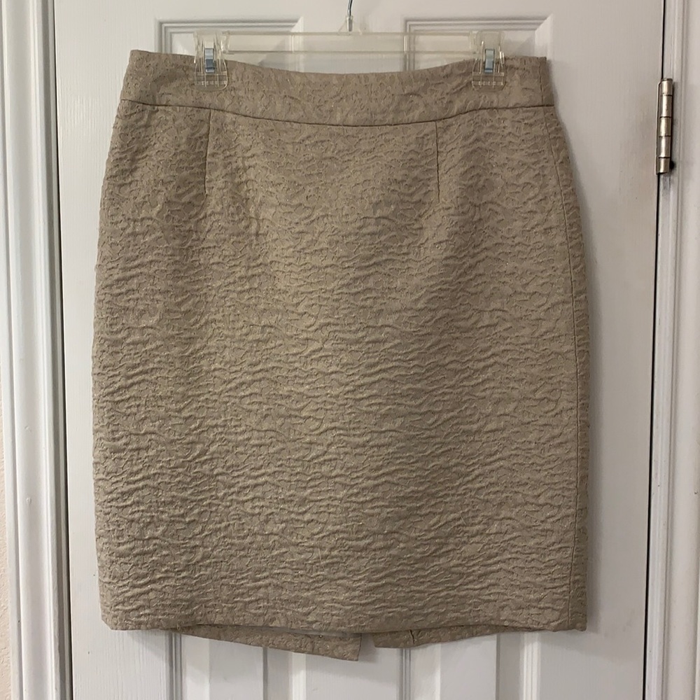Banana Republic skirt.